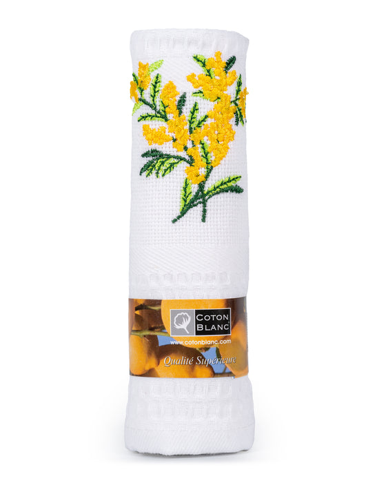White Mimosa