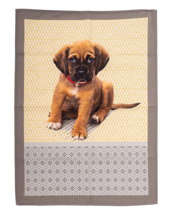 Provence Doggy Tea Towel